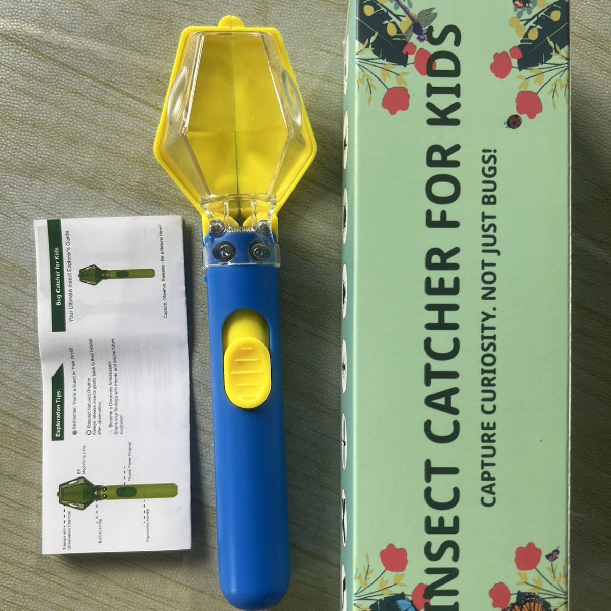 Insect Observation and Catching Device