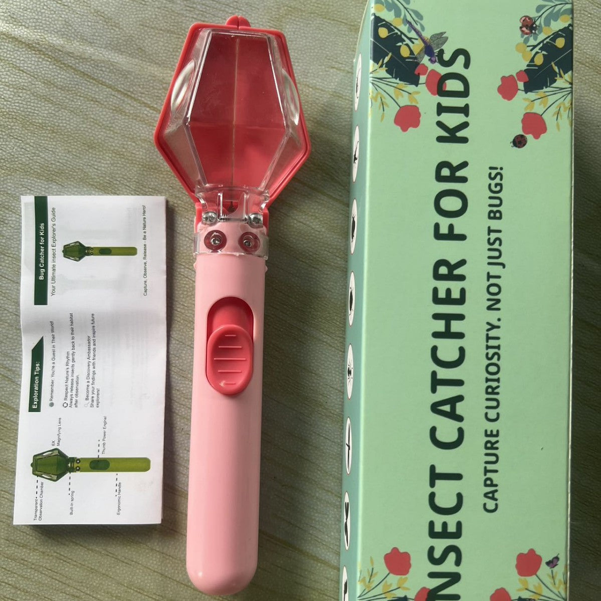 Insect Observation and Catching Device