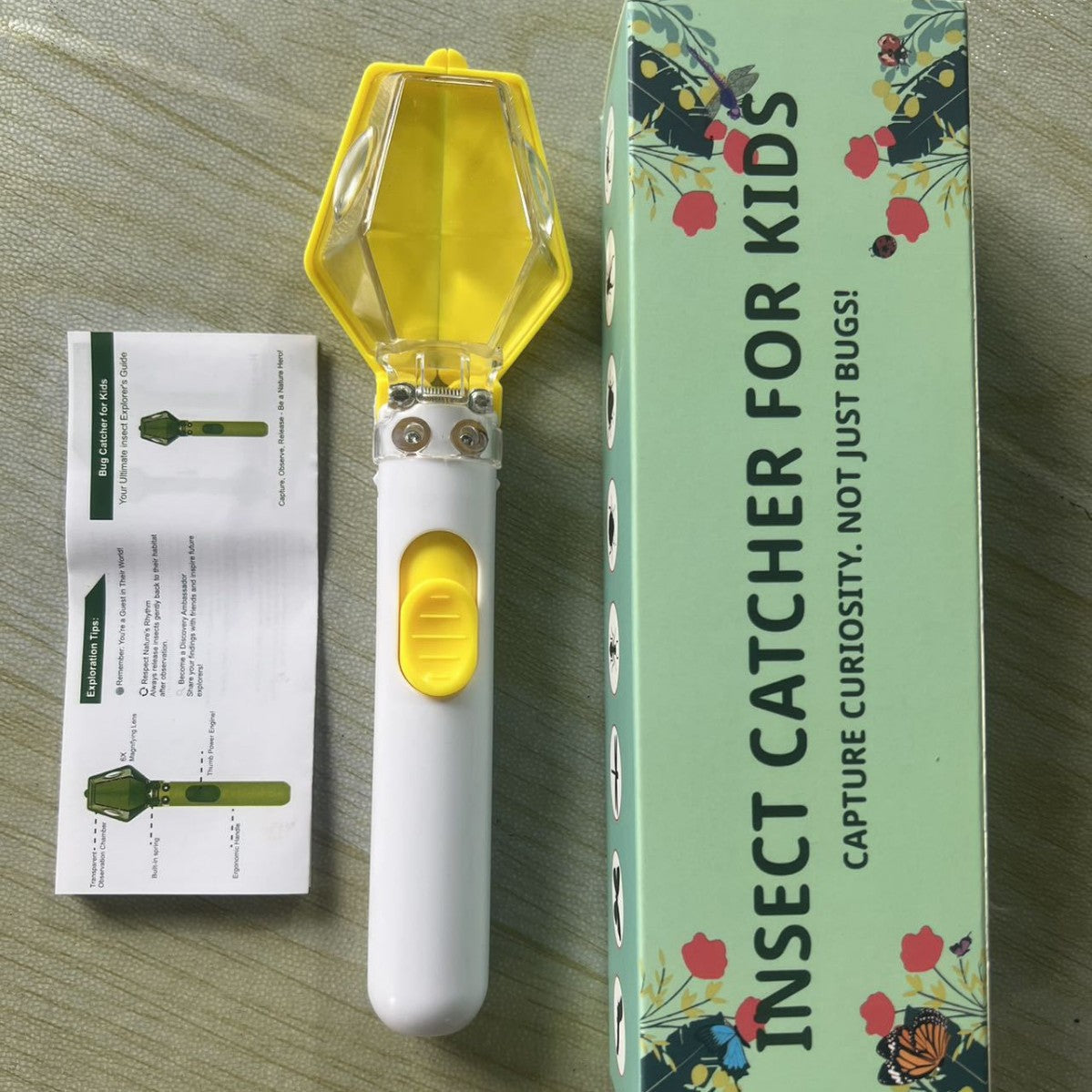 Insect Observation and Catching Device