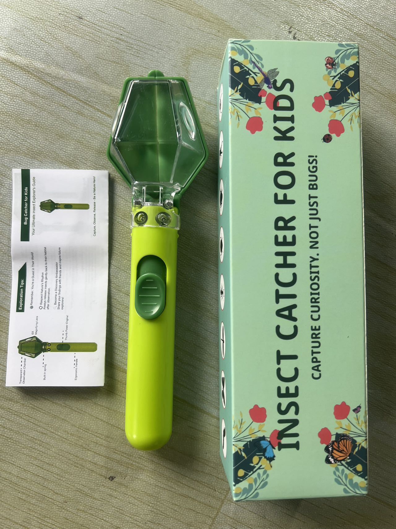 Insect Observation and Catching Device