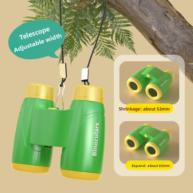 insect observation kit