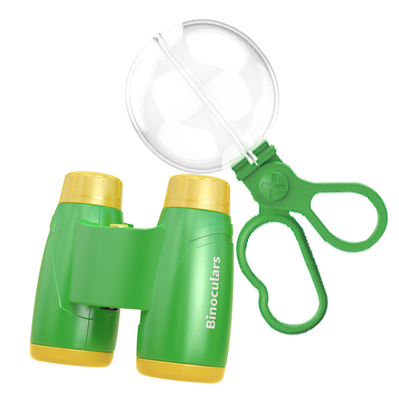 insect observation kit