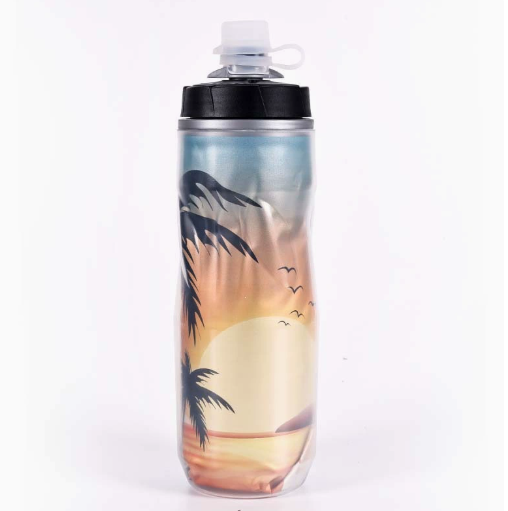 Insulated Color Changing Bicycle Water Bottle