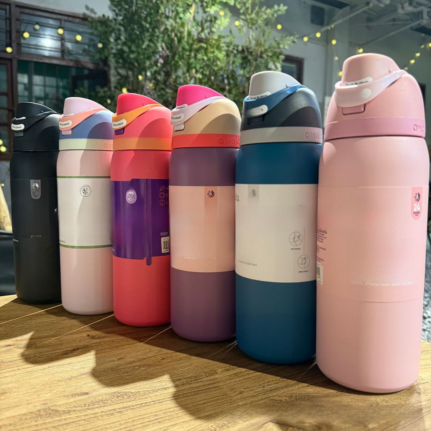Insulated cup