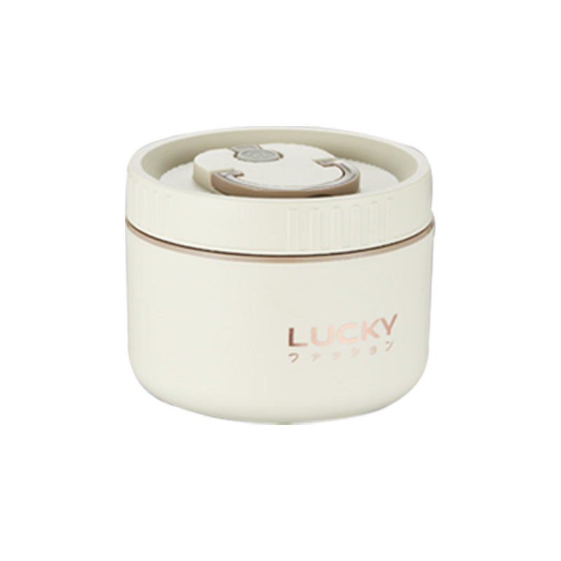 Insulated lunch box