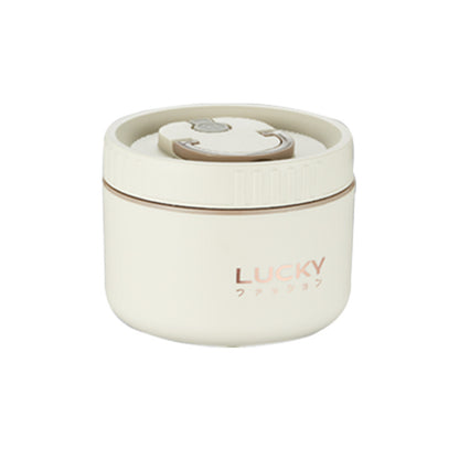 Insulated lunch box