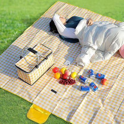 insulated picnic bag