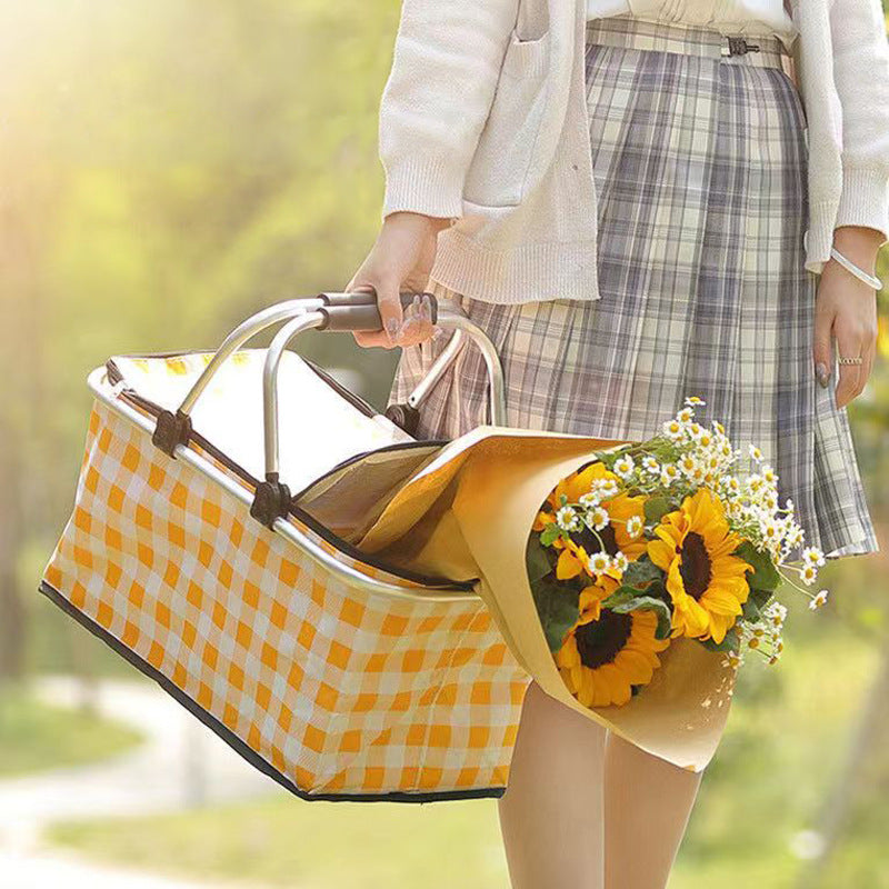 insulated picnic bag