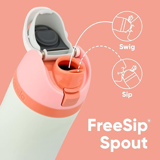 Insulated Stainless Steel Water Bottle with Straw