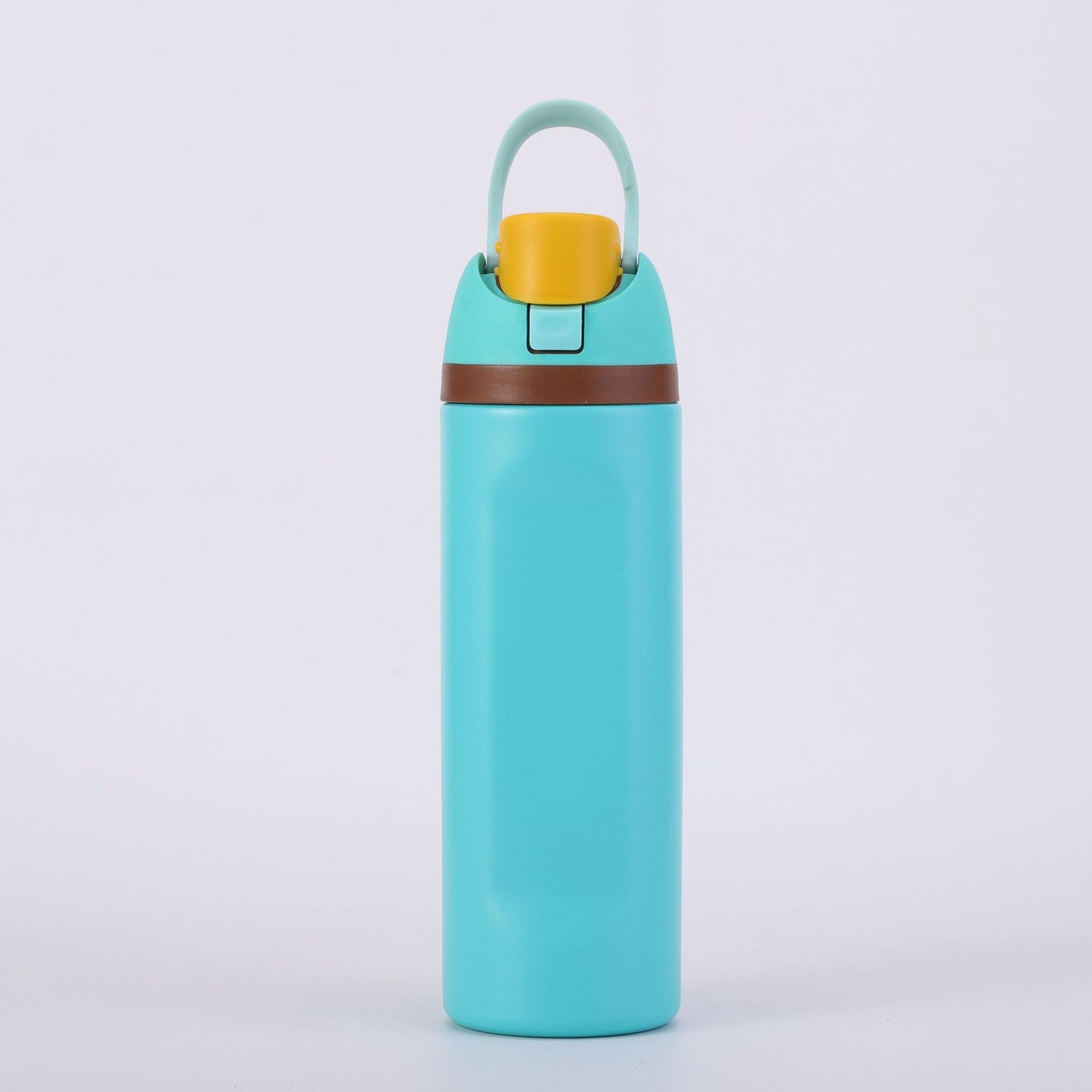 Insulated Stainless Steel Water Bottle with Straw