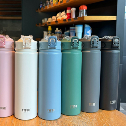 Insulated Water Bottle with Straw