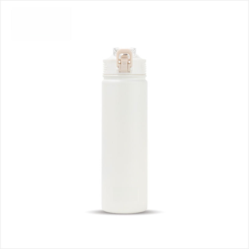 Insulated Water Bottle with Straw