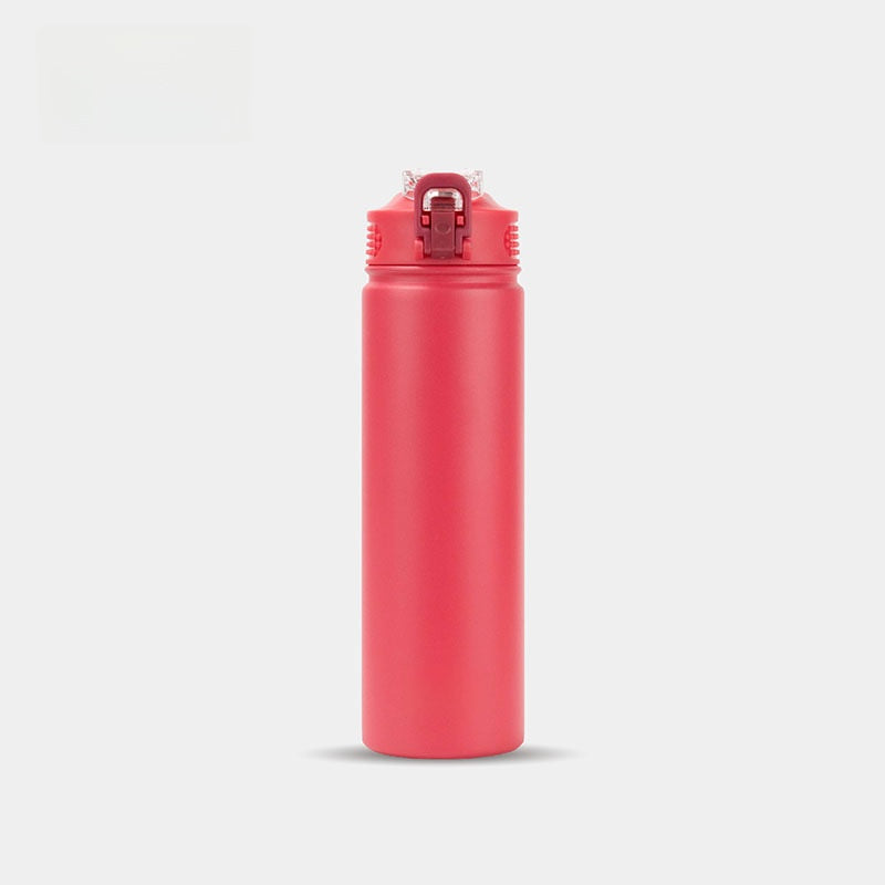 Insulated Water Bottle with Straw