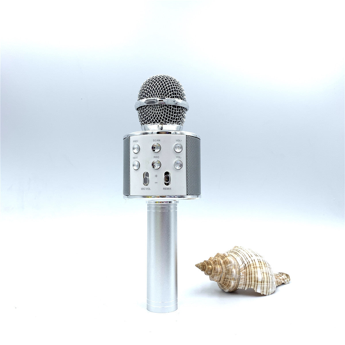 Integrated audio microphone