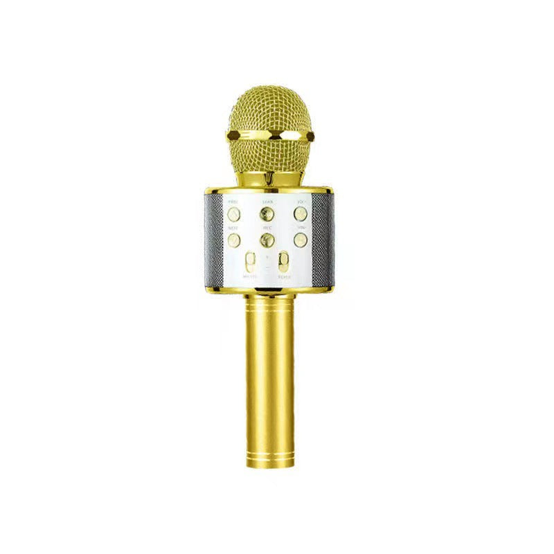 Integrated audio microphone