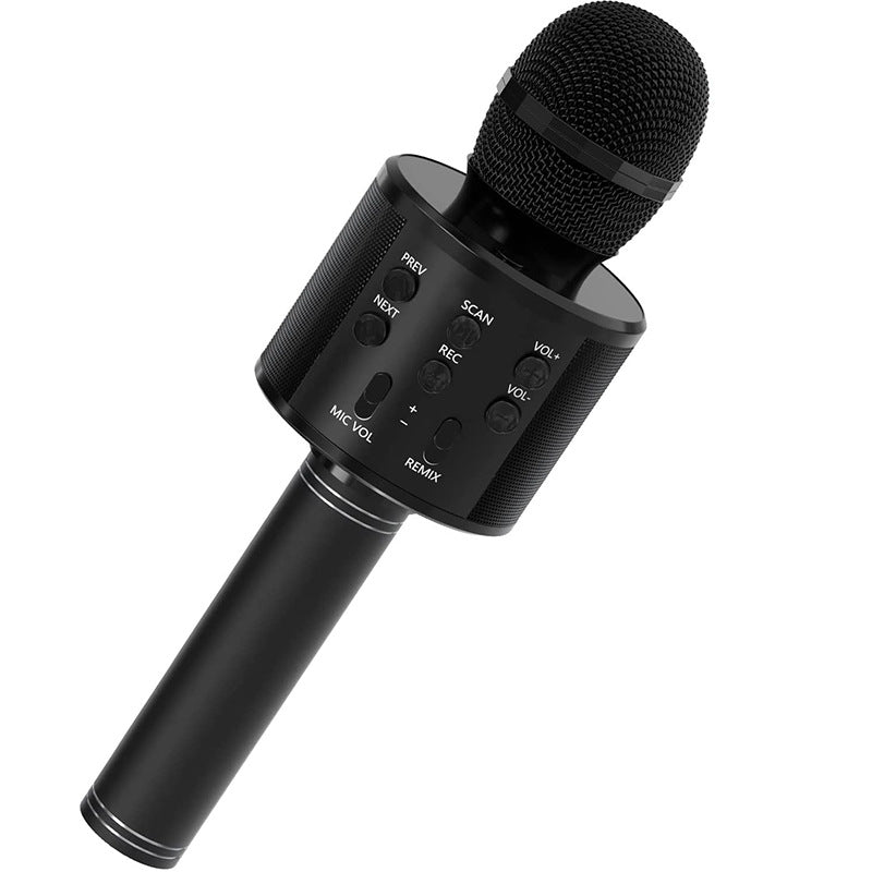 Integrated audio microphone