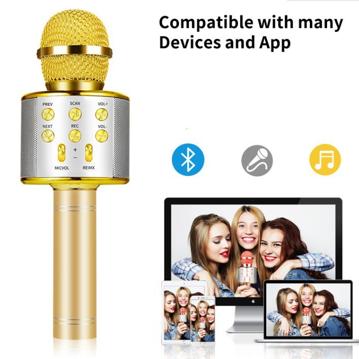 Integrated audio microphone