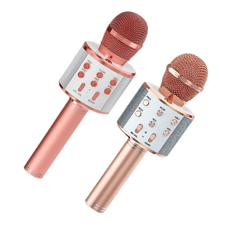 Integrated audio microphone