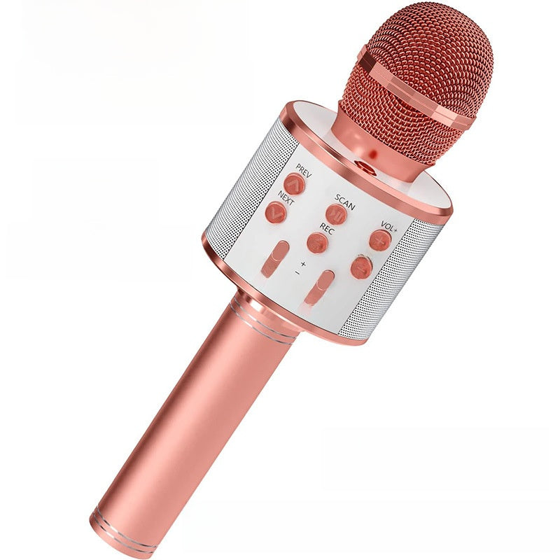 Integrated audio microphone