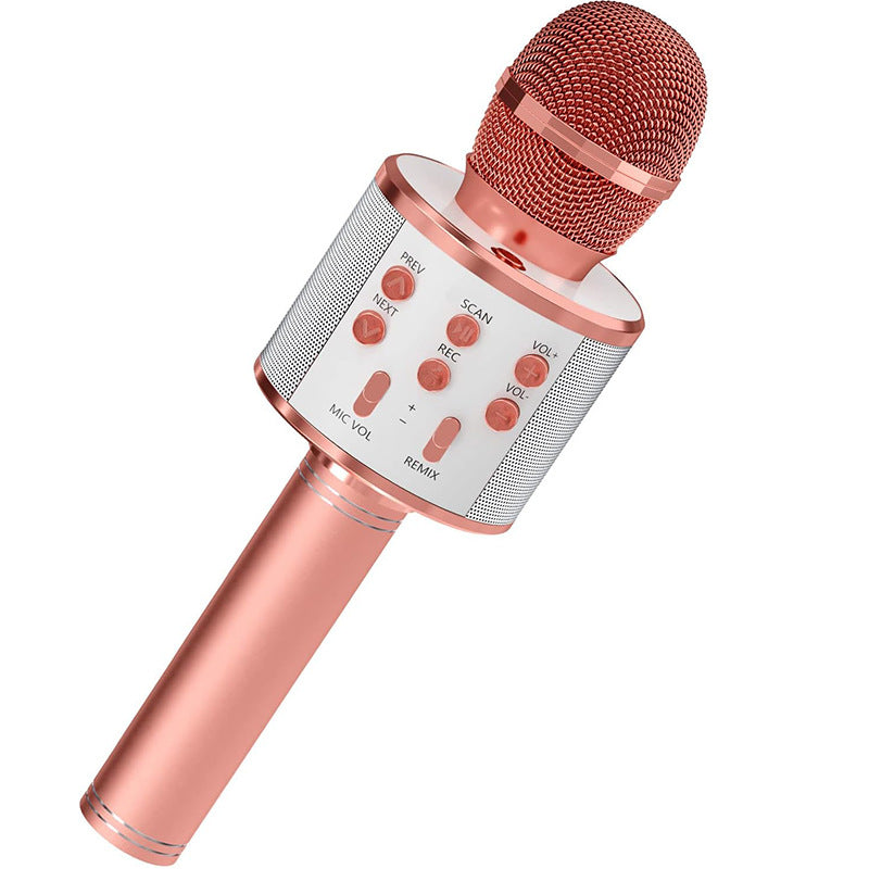 Integrated audio microphone