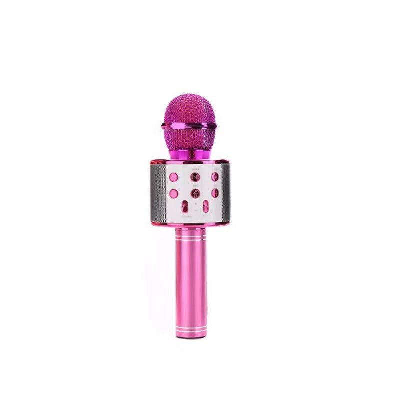 Integrated audio microphone