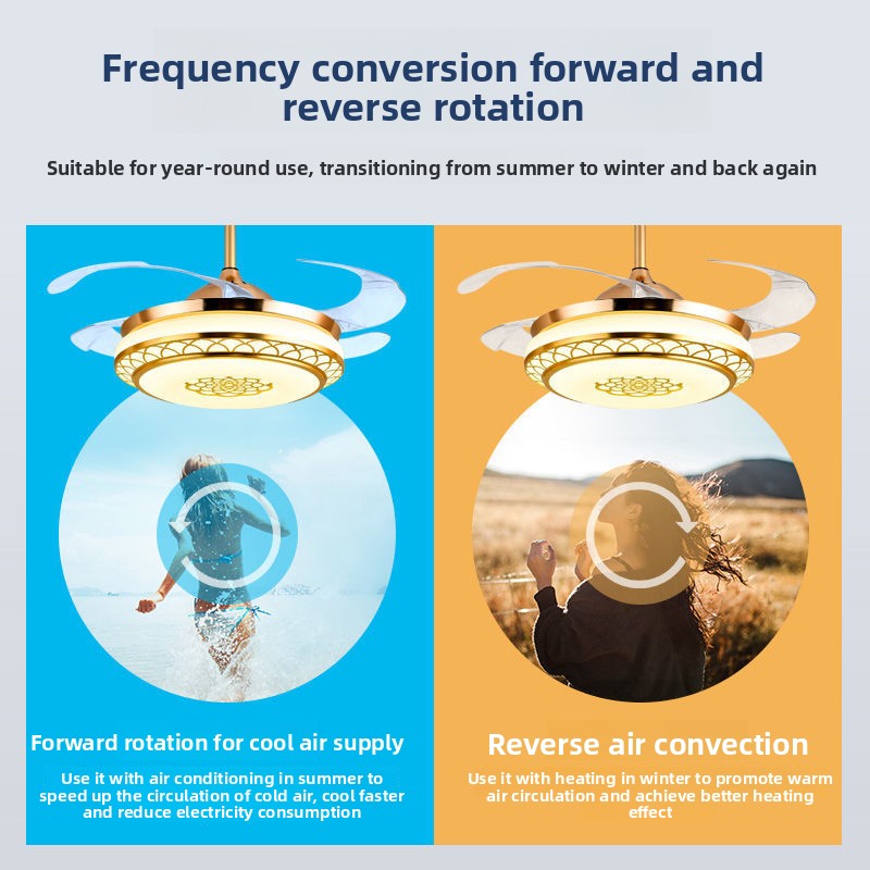 Integrated Ceiling Fan with Light