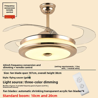 Integrated Ceiling Fan with Light