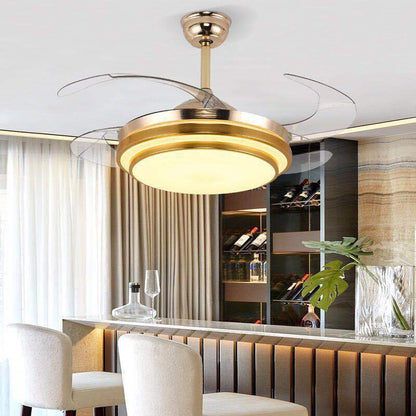 Integrated Ceiling Fan with Light