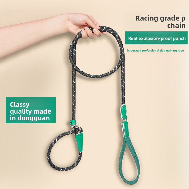 Integrated dog leash