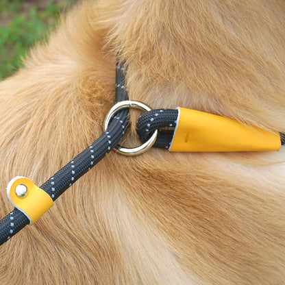Integrated dog leash