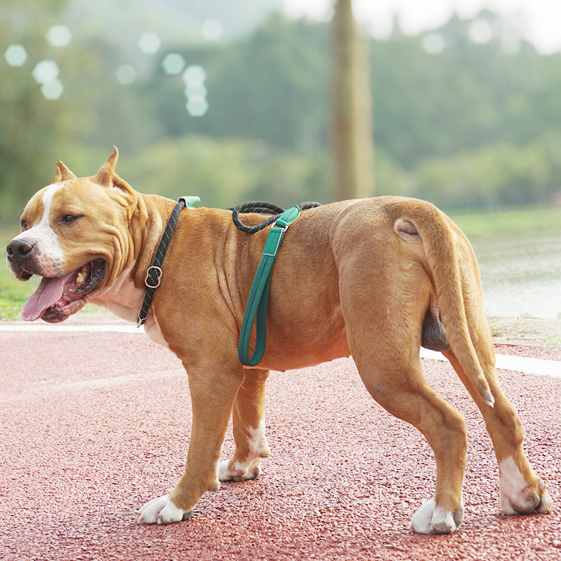 Integrated dog leash