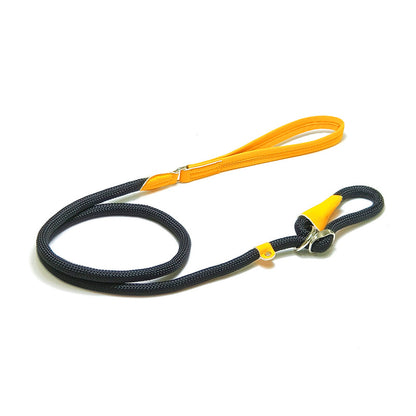 Integrated dog leash