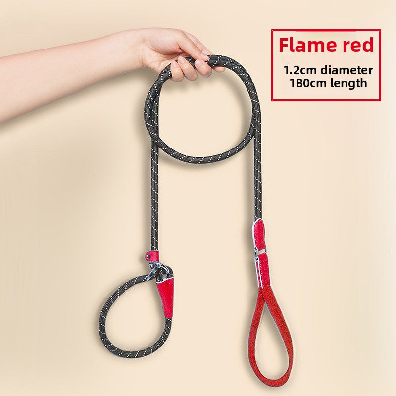 Integrated dog leash