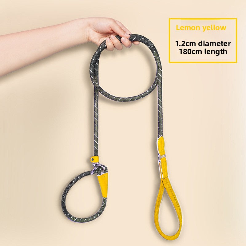 Integrated dog leash
