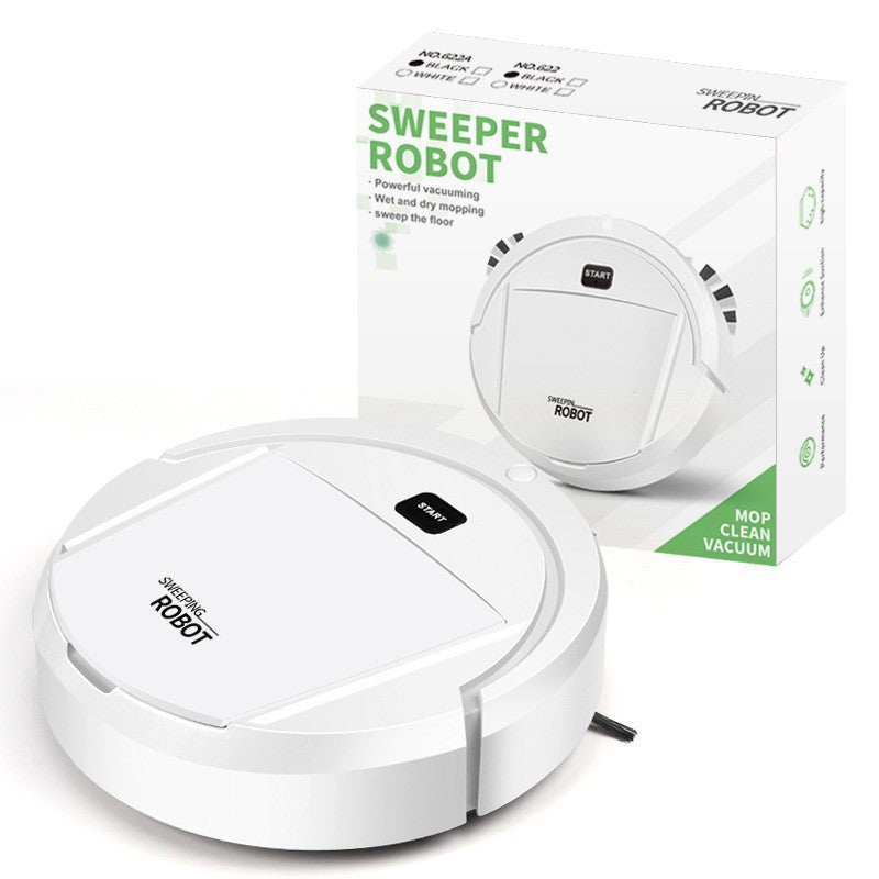 Intelligent Automatic Sweeping and Mopping Robot