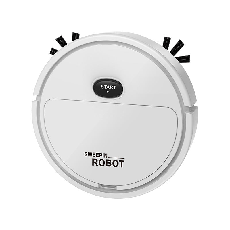 Intelligent Automatic Sweeping and Mopping Robot