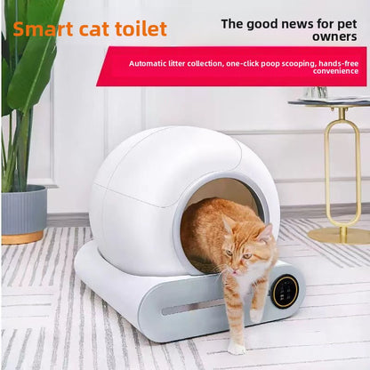Intelligent cat litter box