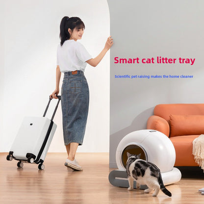 Intelligent cat litter box