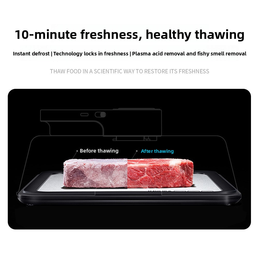 Intelligent Constant Temperature Food Defroster