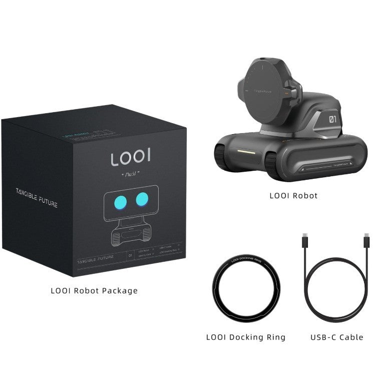 Intelligent desktop robot