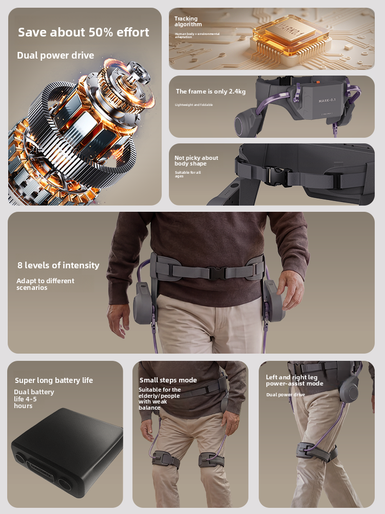 Intelligent Exoskeleton Walking Assistance Device