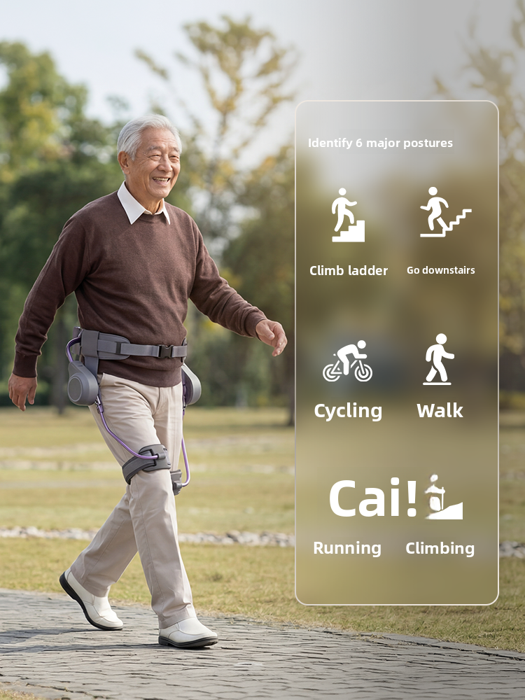 Intelligent Exoskeleton Walking Assistance Device