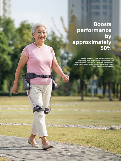 Intelligent Exoskeleton Walking Assistance Device