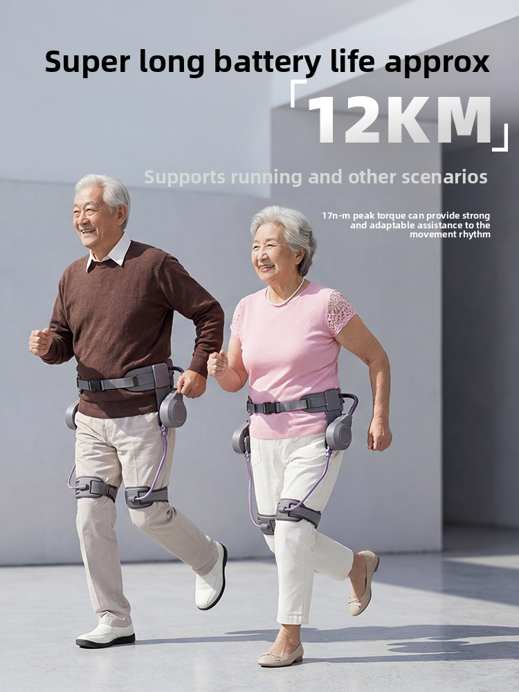 Intelligent Exoskeleton Walking Assistance Device
