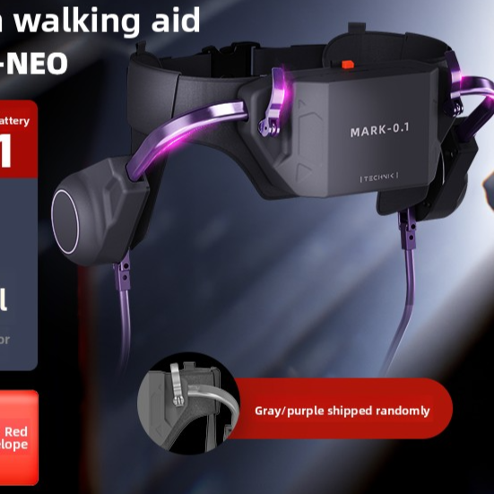 Intelligent Exoskeleton Walking Assistance Device