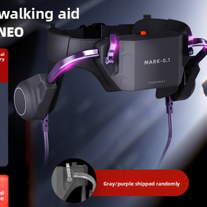 Intelligent Exoskeleton Walking Assistance Device