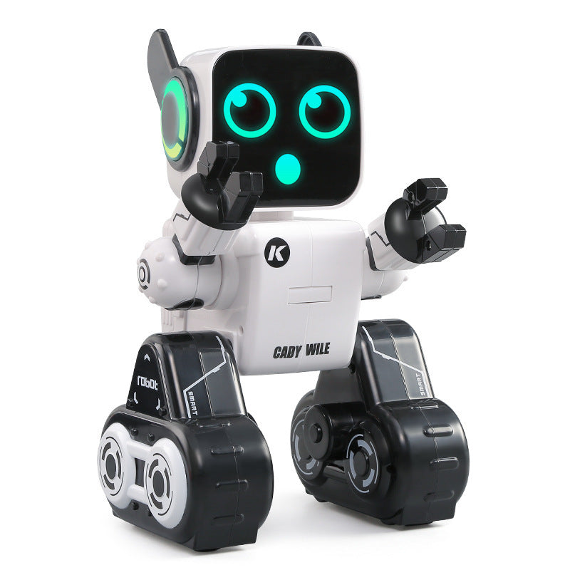 Intelligent interactive remote control programming robot