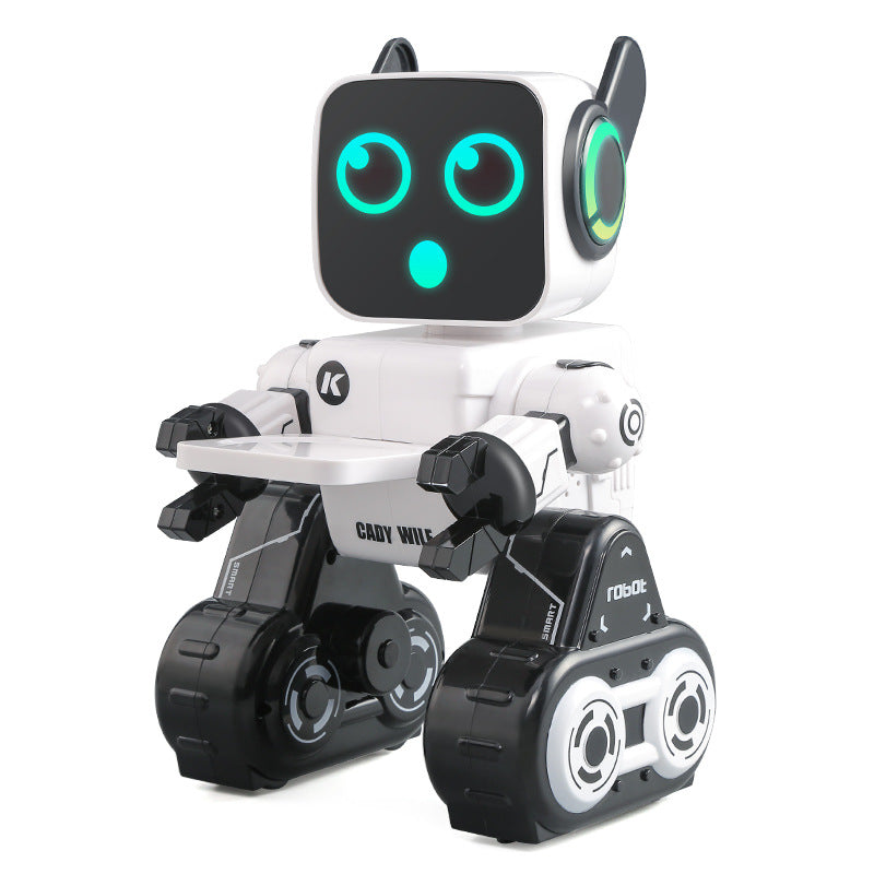 Intelligent interactive remote control programming robot