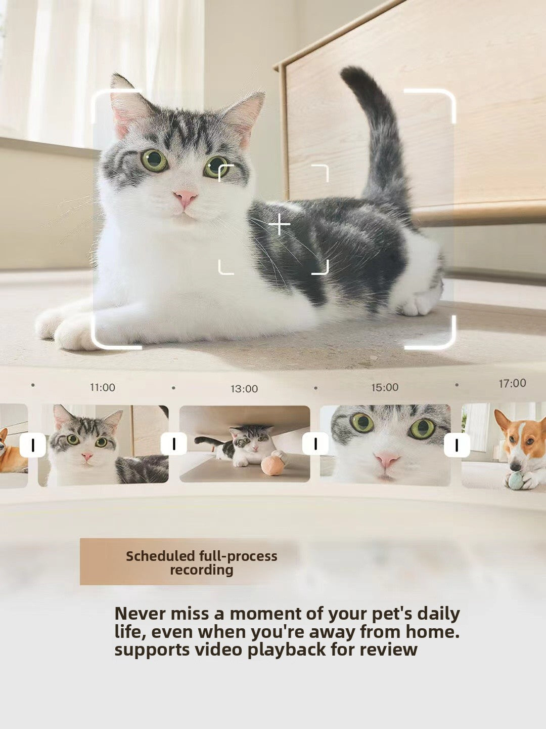 Intelligent pet robot
