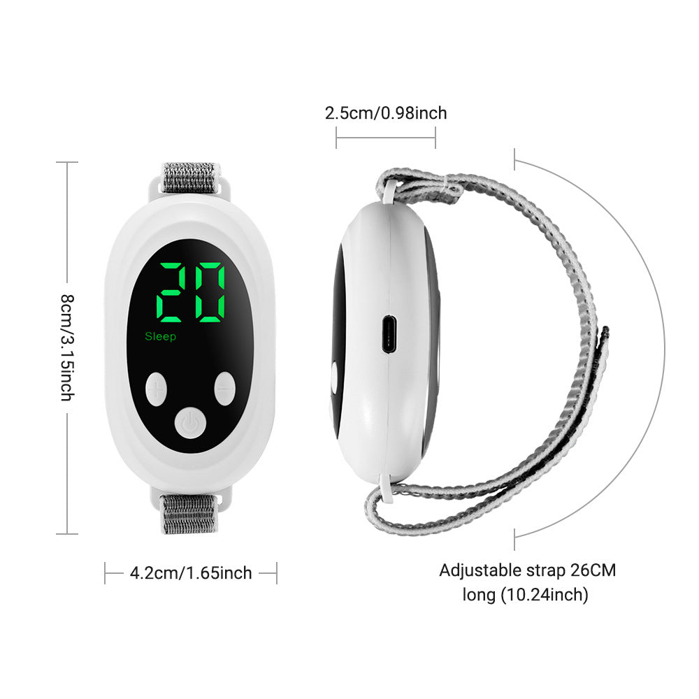 Intelligent sleep instrument